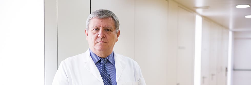 Profesor Albert Cabero Gravida
