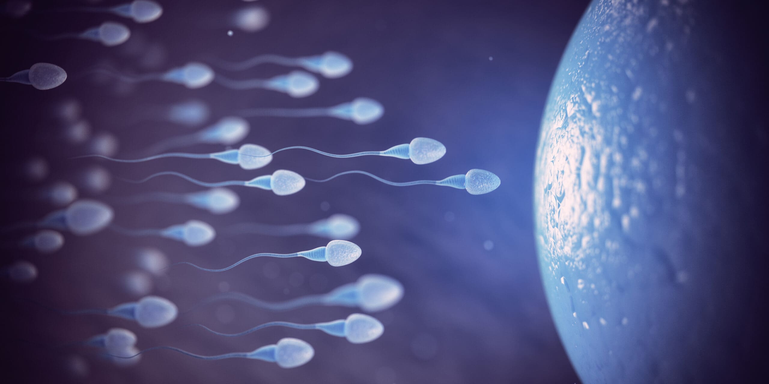 ¿Qué son la Oligozoospermia y la Astenozoospermia?
