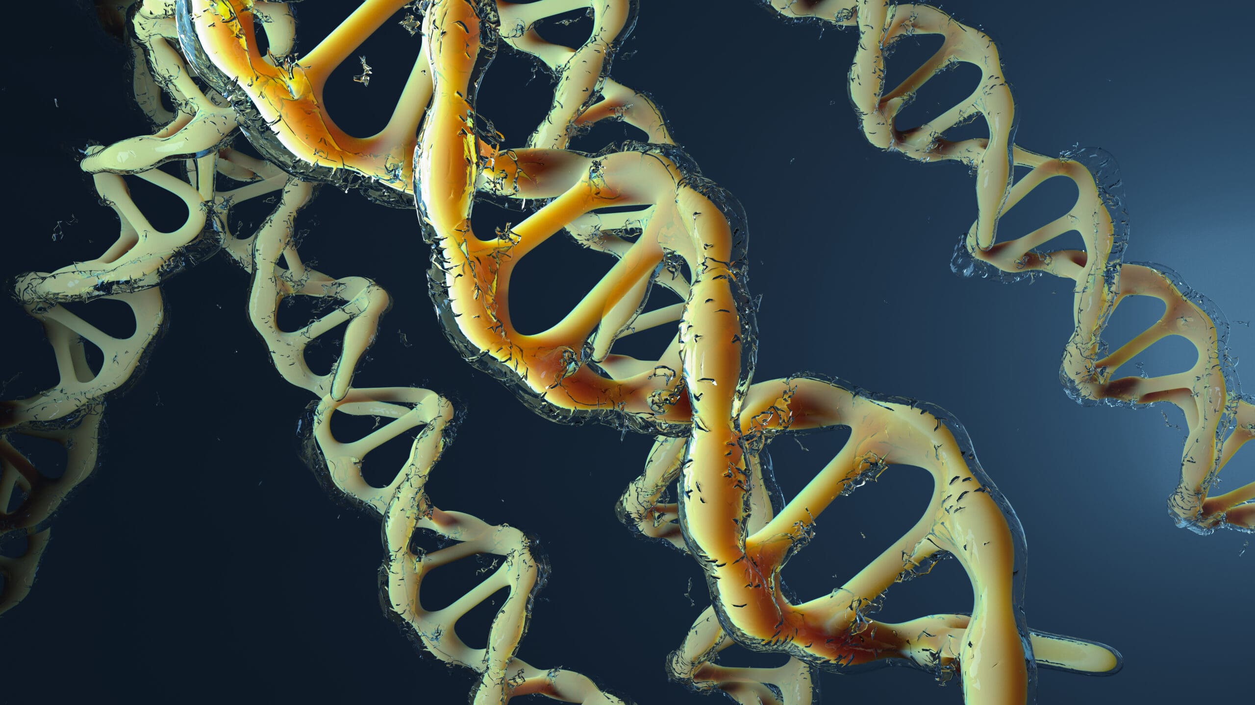 Reduciendo la Fragmentación del ADN Espermático: Estrategias de Alimentación, Estilo de Vida y Tecnología