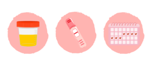 test d'ovulation