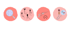 iconos daños espermáticos por toxinas y contaminantes