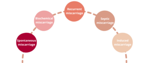 Types of Miscarriages