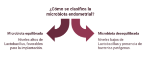 La microbiota endometrial se clasifica en EQUILIBRADA o DESEQUILIBRADA