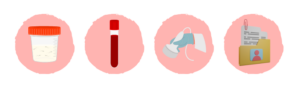 Ilustración de pruebas diagnósticas para evaluar la fertilidad en hombres con antecedentes de criptorquidia, incluyendo análisis de semen, análisis de sangre, ecografía testicular y evaluación médica del historial clínico.