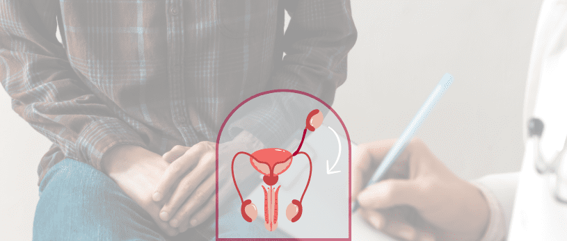 Criptorquidia: Su Relación con la Infertilidad Masculina y Cómo Superarla