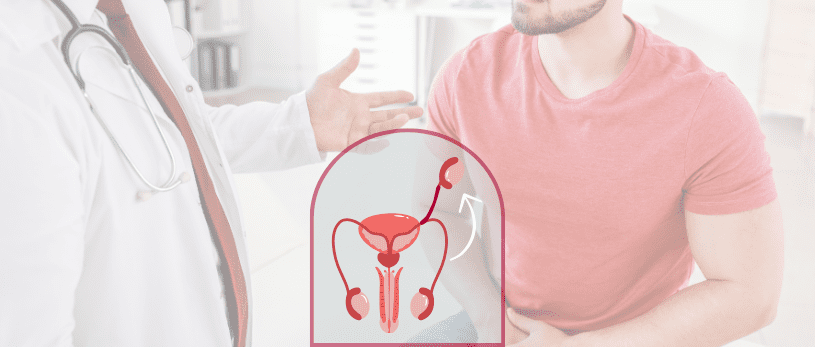 Testicules en ascenseur : qu’est-ce que c’est et cela affecte-t-il la fertilité ?