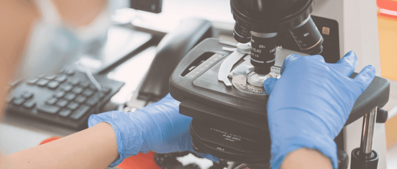 Embrióloga de Gravida analizando una muestra seminal con cámara Makler en microscopio invertido en el laboratorio de andrología
